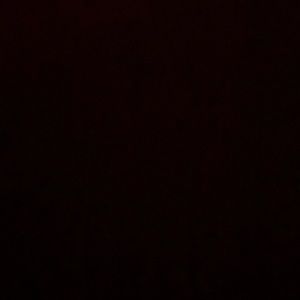 Meet your Posher, Jessie